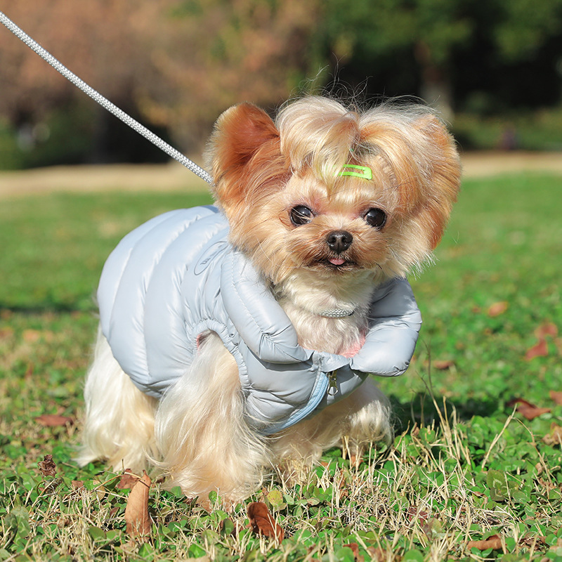 Jack Winter Clothing - ペット用衣料、犬用衣料、二足歩行用ダウンジャケット、冬用、暖かい綿入りジャケット、小型犬用ベスト、ベスト