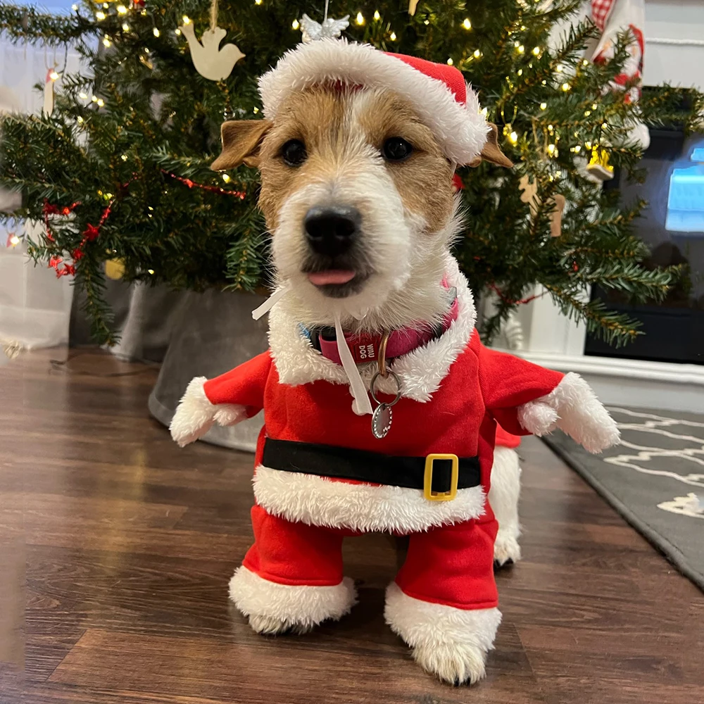 クリスマス服犬猫新年サンタクロース衣装子犬コスプレ服おかしい - Winter Clothing Dress Up のレビューと価格